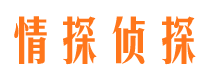 多伦市私家侦探公司